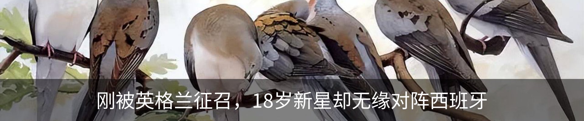内页banner