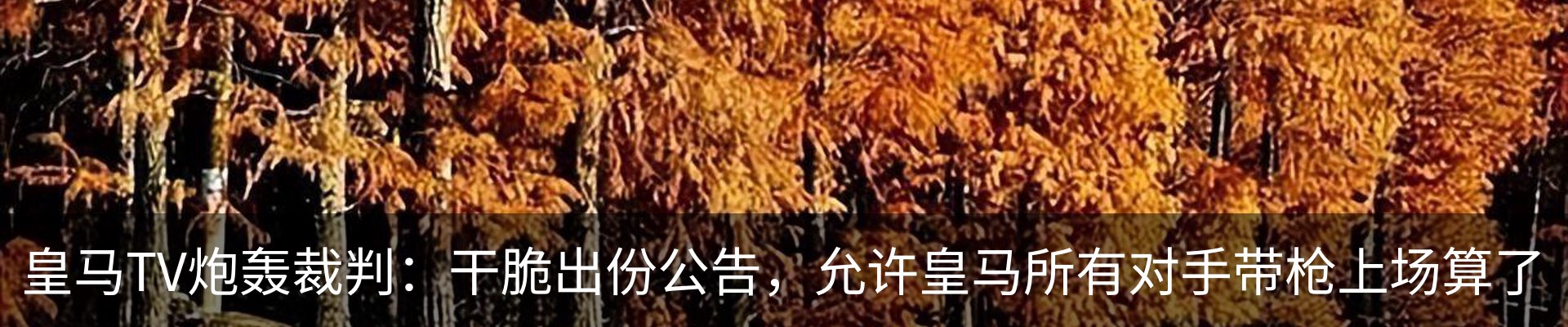 内页banner